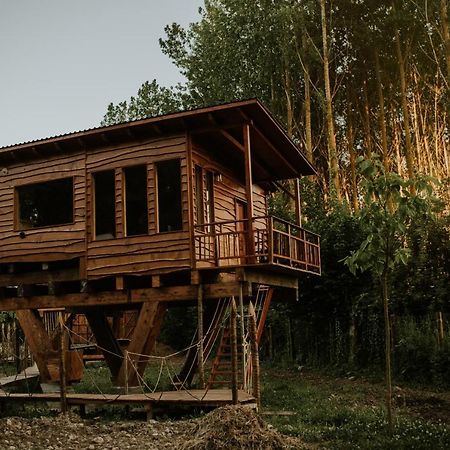 Bonita Cabana De Los Arboles En La Rioja , Durmiendo Entre Arboles Anguciana Dış mekan fotoğraf