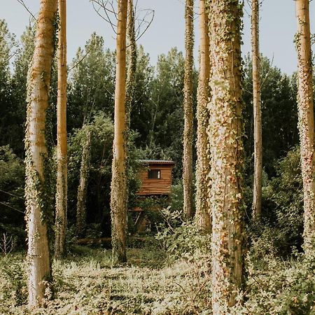 Bonita Cabana De Los Arboles En La Rioja , Durmiendo Entre Arboles Anguciana Dış mekan fotoğraf