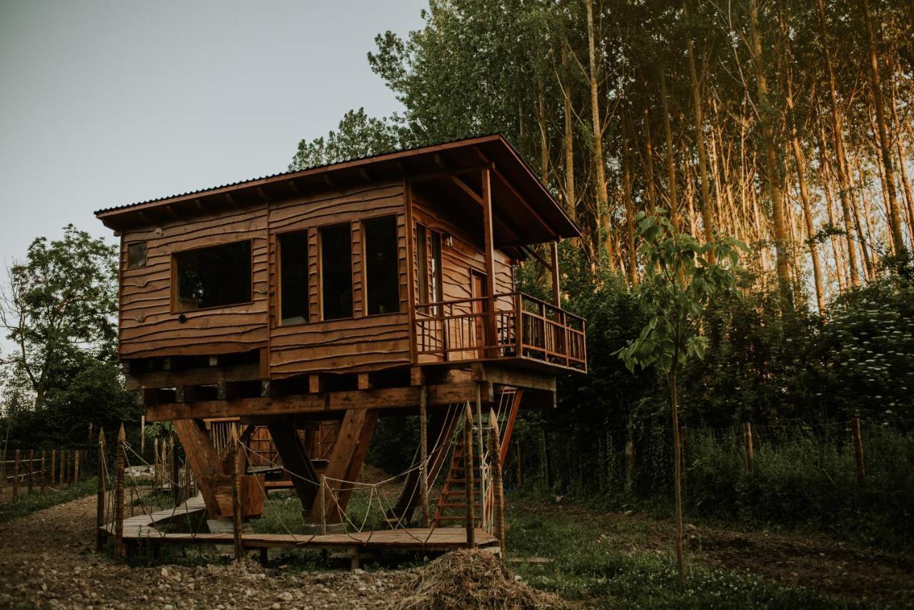 Bonita Cabana De Los Arboles En La Rioja , Durmiendo Entre Arboles Anguciana Dış mekan fotoğraf