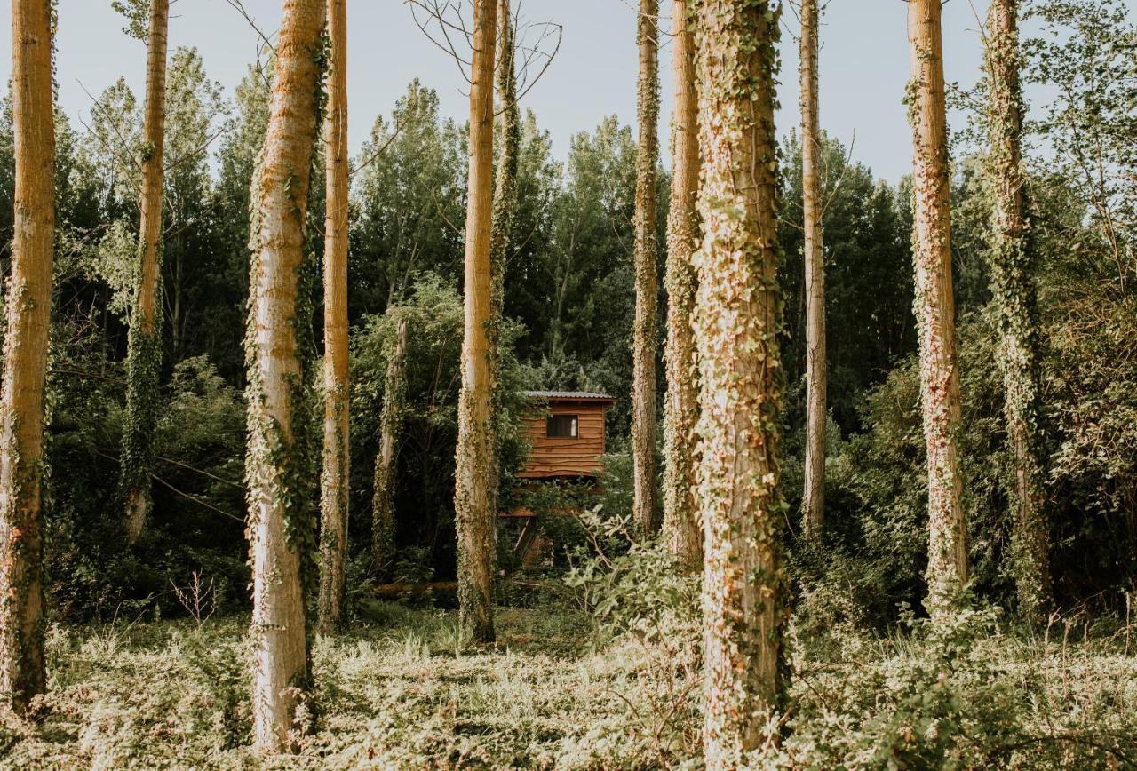 Bonita Cabana De Los Arboles En La Rioja , Durmiendo Entre Arboles Anguciana Dış mekan fotoğraf
