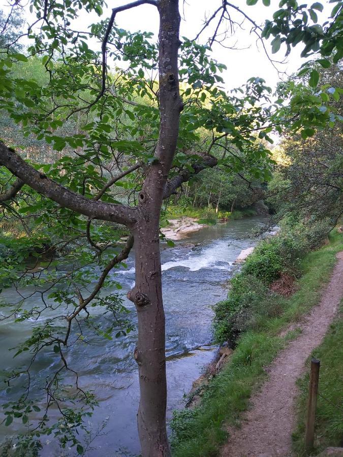 Bonita Cabana De Los Arboles En La Rioja , Durmiendo Entre Arboles Anguciana Dış mekan fotoğraf